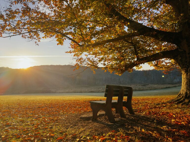 Mindful Breaks You Can Take in Five Minutes for a Fresh Reset